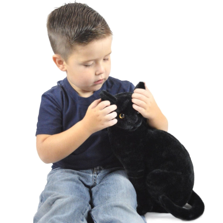 Boone the Black Cat, Kitty, 13" Plush Stuffed Animal