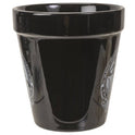 Alchemy England Gothic Planter Black Ceramic Herb and Flower Pot Toadstool Magic