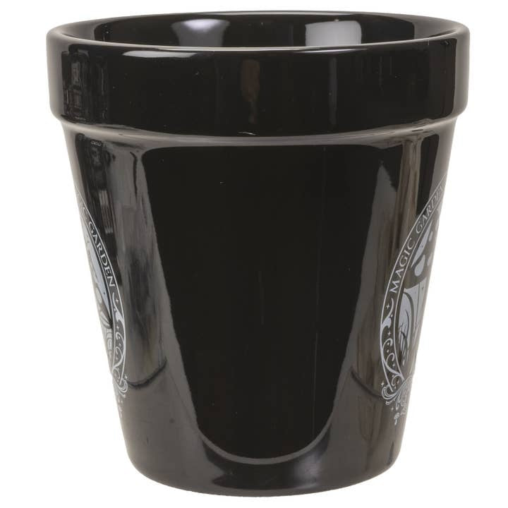 Alchemy England Gothic Planter Black Ceramic Herb and Flower Pot Toadstool Magic