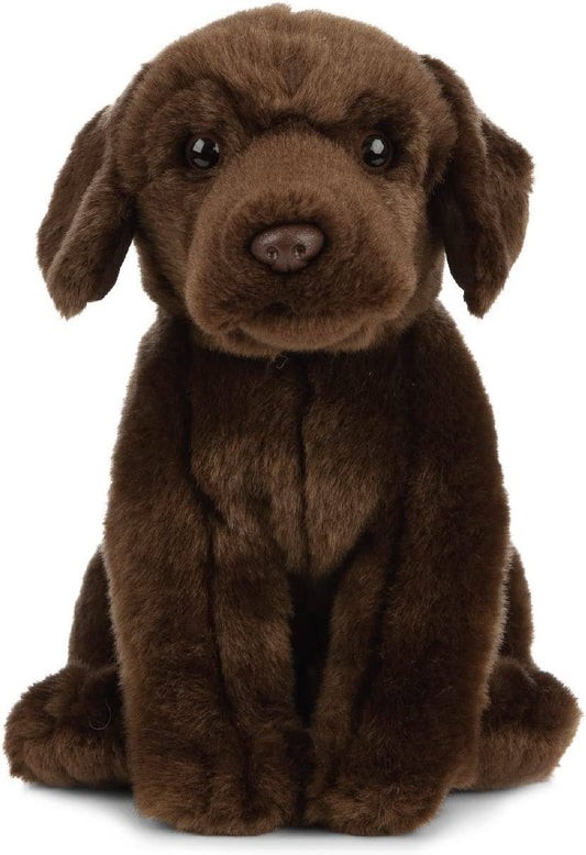 Living Nature Chocolate Labrador Plush, 8" Dog, Eco-Friendly