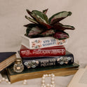 Jane Austin Classics 3 Books Stacked Ceramic, Small Unique Book Planter