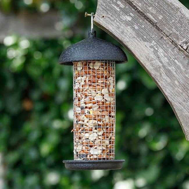 Set of 2 Hanging Metal Bird Feeders, 8" Peanut Mesh & Seed Tube Backyard Garden