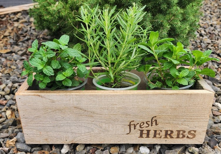 Handmade Reclaimed Wood Rustic Herb Planter, 14" Trough Planting Box