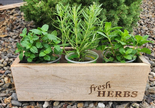 Handmade Reclaimed Wood Rustic Herb Planter, 14" Trough Planting Box