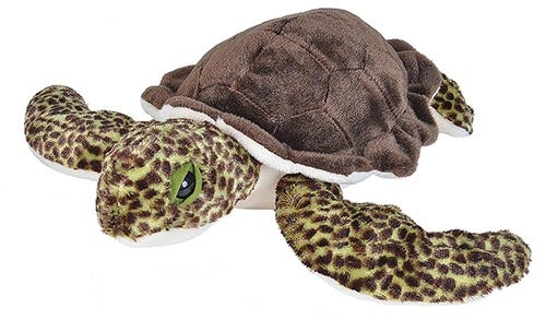 Green Sea Turtle Stuffed Animal 12", Wild Republic Cuddlekins