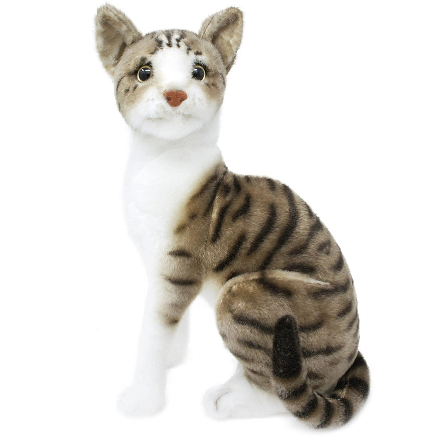 Amy The American Shorthair Cat, Plush, 14" Stuffed Animal