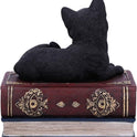 Black Cat Miniature Statuette Perched on a Faux-Antique Book Keepsake Box