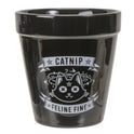 Alchemy England Gothic Planter Black Ceramic Catnip Feline Fine Flower Pot