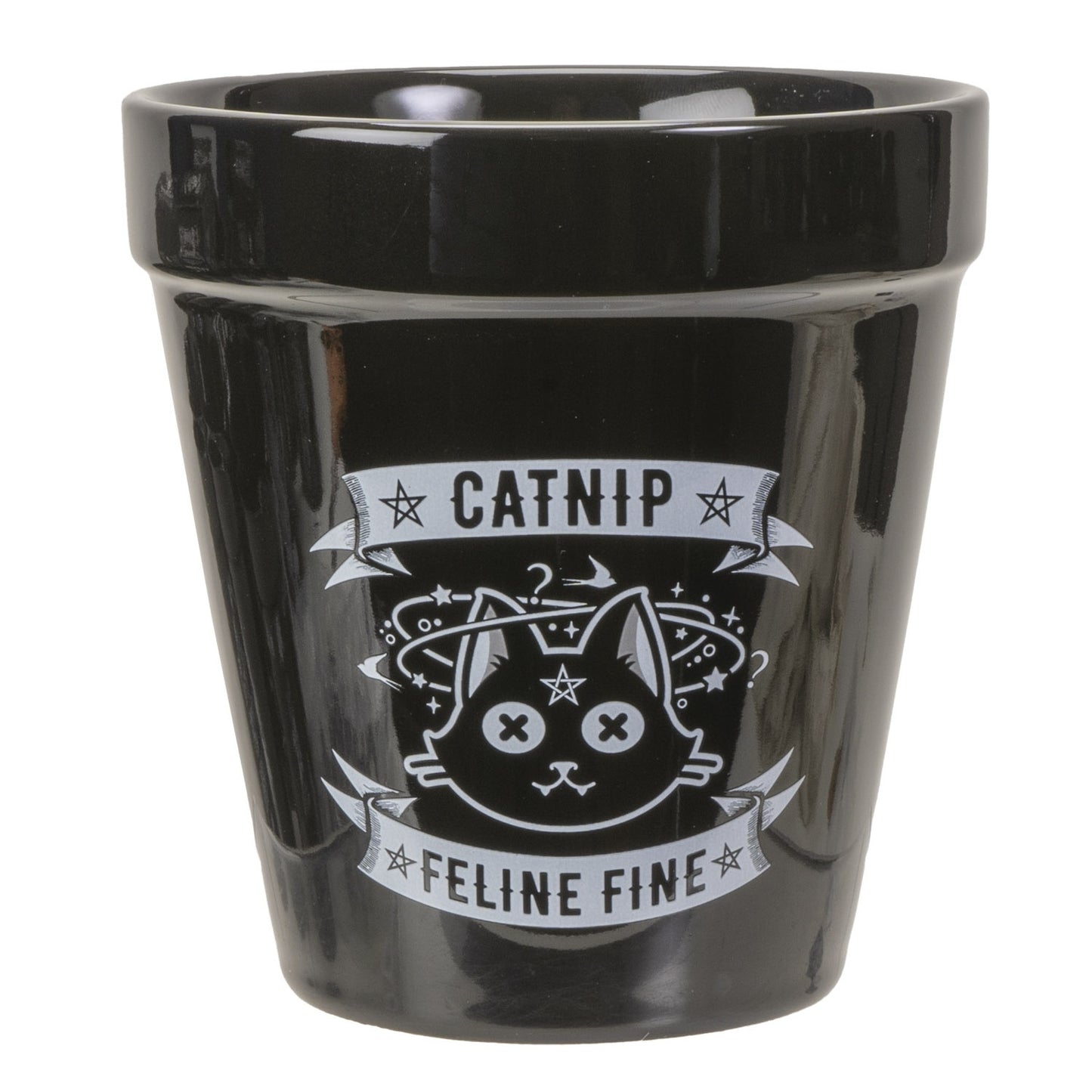Alchemy England Gothic Planter Black Ceramic Catnip Feline Fine Flower Pot